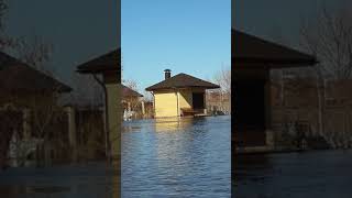 Половодье на реке усманка воронежская обл.