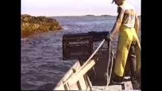 LOBSTER FISHING & HOW TO EAT ONE
