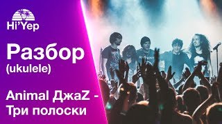 Animal ДжаZ - Три полоски | Разбор на укулеле