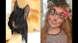 аквагрим мышка. Аквагрим мастер класс. Аквагрим и рисунки на лице. Развлечения для детей.