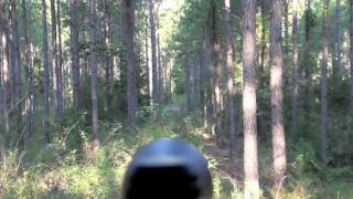 Browning Bar II Safari 300 Win Mag Hunting Trip