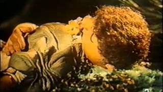 Sen noci svatojanske   A midsummer night's dream Jiri Trnka, 1959 VHSRip,spa subs HC