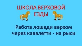 Работа лошади верхом через кавалетти на рыси