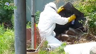 서울 부부의 귀촌일기 2화 '말벌집 대소동'(Country Story of City Couple EP.02)