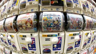 Gachapon: Capsule Toy Adventure in Akihabara ★ ONLY in JAPAN