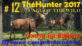 TheHunter 2017.  Симулятор охоты # 12. Охота на койота!!!