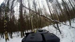 По лесу на мотобуксировщике Бурлак.