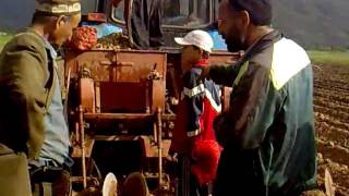 Кишти картошка дар Точикобод 2011  (Kishti kartoshka dar Tojikobod 2011)