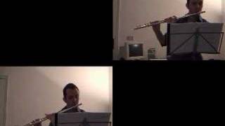 Telemann, canonic sonata op.5 n.3 - virtual duo