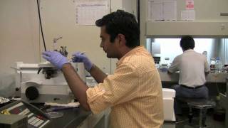National Institute for Basic Biology international student interview:  Mr. Shukla Rammohan