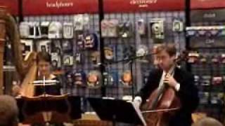 Scarborough Fair - Adagio Trio - harp, flute, cello