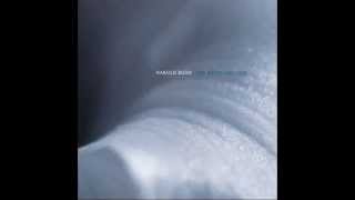 Harold Budd - The White Arcades (Slower 800%-Ambient Music)