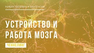 Устройство и работа мозга. Ченнелинг эксклюзив