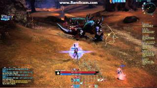 Tera Online Lvl 27 World Boss (2 man)