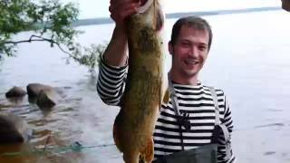 Отпуск на озере Вселуг. ( Верхневолжское водохранилище )  Август 2016г.