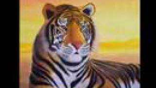 Corso di pittura a olio e acrilico:dipingere una tigre del bengala(painting course 1)