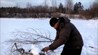 Живец в Полевском. Ловля и хранение верховки зимой.