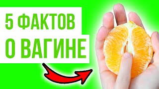 Топ 5 ФАКТОВ О ВАГИНЕ о которых ты не знал!