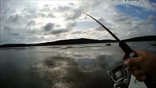 Ловля щуки на спиннинг в Сибири - Иркутское водохранилище