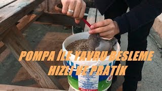 KENDİ YAPTIĞIM POMPA İLE YAVRU BESLEME
