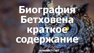 Биография Бетховена  краткое содержание самое главное