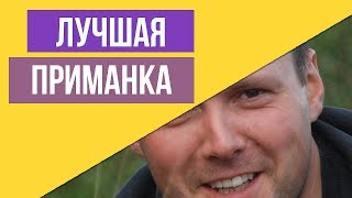 Охота на копытных.Приманка на кабана.Приманка на косулю.