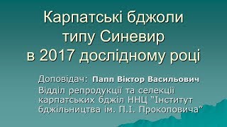 Папп Віктор Васильович. Карпатські бджоли типу Синевир