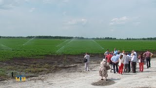 Участники VIII сибирских агрохимических Прянишниковских чтений посетили ООО «Агрофирма КРиММ»