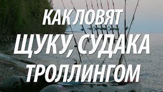 ЛОВЛЯ ТРОЛЛИНГОМ СУДАКА, ЩУКИ. ТРОЛЛИНГОВАЯ РЫБАЛКА ОСЕНЬЮ НА ОНЕЖСКОМ ОЗЕРЕ