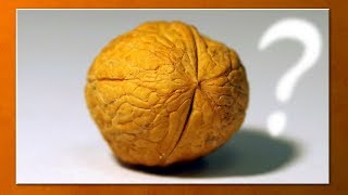 5 paradojas para genios explicadas para todos