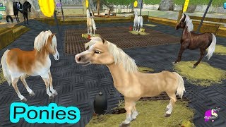 Ponies ? Star Stable Horse Online Game Play Video - Honey Hearts C