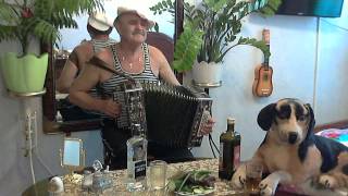 Частушки под гармонь ♫ Куплеты под гармонь ♫ Играй гармонь