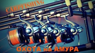 CARPFISHING: "ОХОТА на АМУРА"