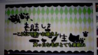 嗚呼、素晴らしきニャン生　歌ってみた「メビウス」「シンア」