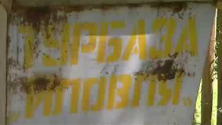 Баня из кедра.