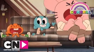 Муш-чуш | Невероятният свят на Гъмбол | Cartoon Network