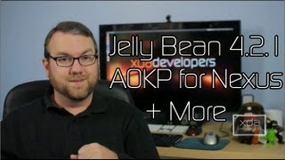 Jelly Bean 4.2.1 AOKP for Nexus Available, Free Android Backup and Kernel Config Apps