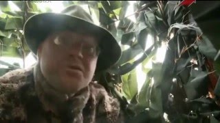 Весенняя охота на утренней и вечерней заре на селезня с подсадной! Открытие сезона 2016!