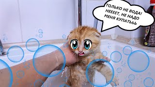 Первое купание маленького котенка kitten cat VS water