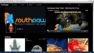 Neck and Neck Soft Tissue Surgeries of the Cervical Region in Dogs 8 04 14 8 03 PM