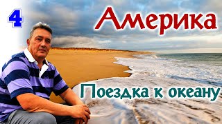 Как я открыл Америку. Фильм 4 "Поездка к океану или морские котики"