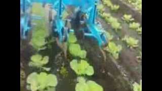 JOHN DEERE 6620, GPS, bineuse a choux