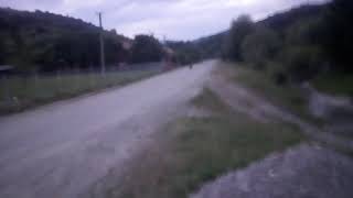 Драки собак .клас!