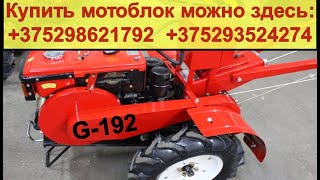 ВИДЕООБЗОР: Запуск. Дизельный мотоблок Shtenli G-185