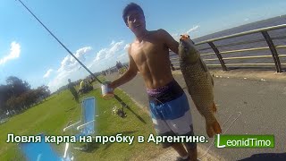 РЫБАЛКА в Буэнос-Айресе ? Ловля карпа на пробку в Аргентине. Leonid Timo