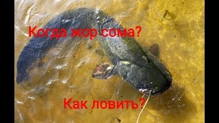 Ловля сома в мае.Как ловить сома?Где искать сома весной