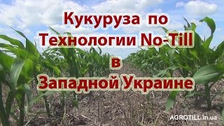 Кукуруза по Ноу-Тилл в Западной Украине. No-Till farming. [AGROTILL.in.ua]