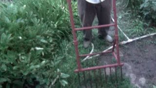 Самодельная лопата для огорода. Хозяйство Кулешова В.И.
