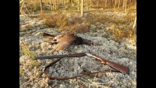 Весенняя охота в Нижегородской области 2016
