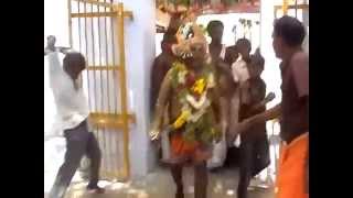 RAJAPALAYAM SUDALAI MADASWAMY KOVIL KODAI 2014. மதியக் கொடை.